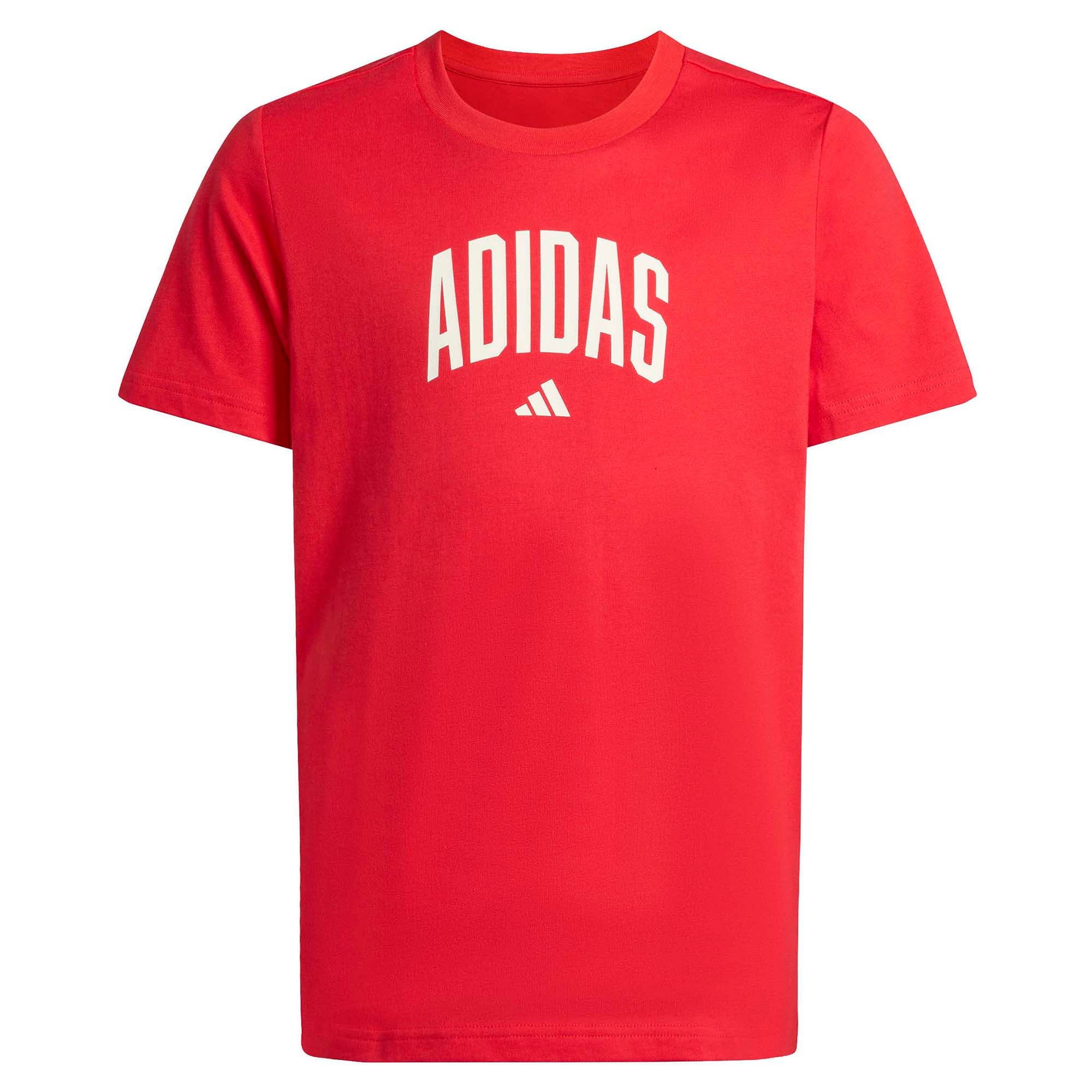 Junior's Collegiate Graphic T-Shirt - Image 3