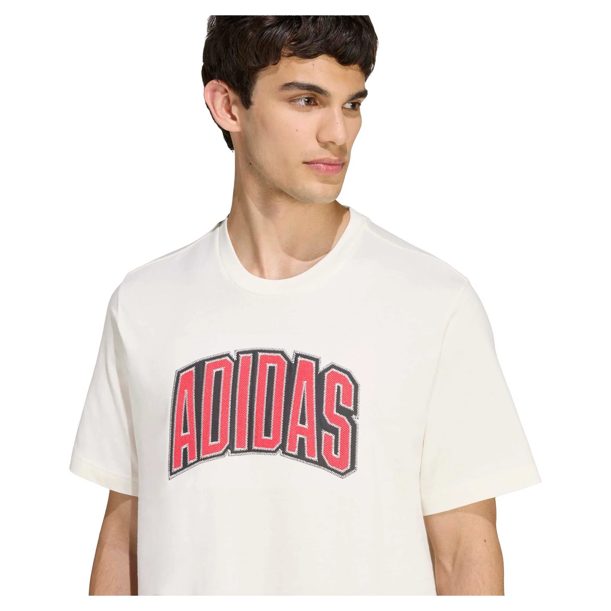 Men's Stadium Collegiate Graphic T-Shirt - Image 3