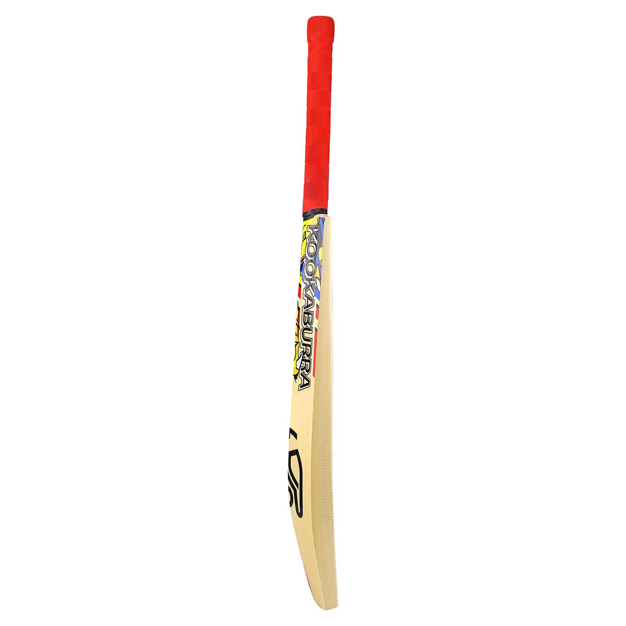 Beast Pro 9.0 Junior's Cricket Bat - Image 3