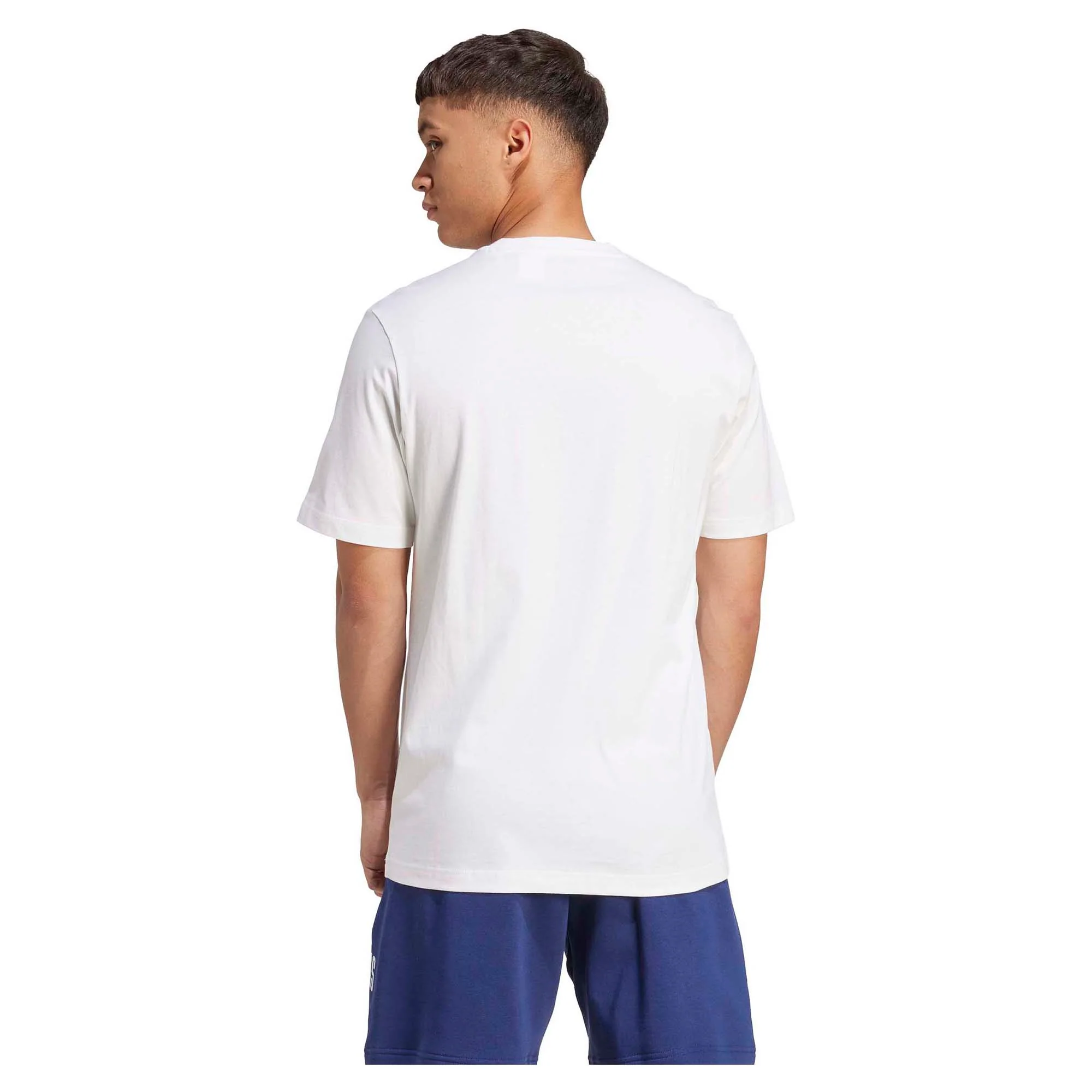 Men's Collegiate Lineage Graphic T-Shirt - Image 2
