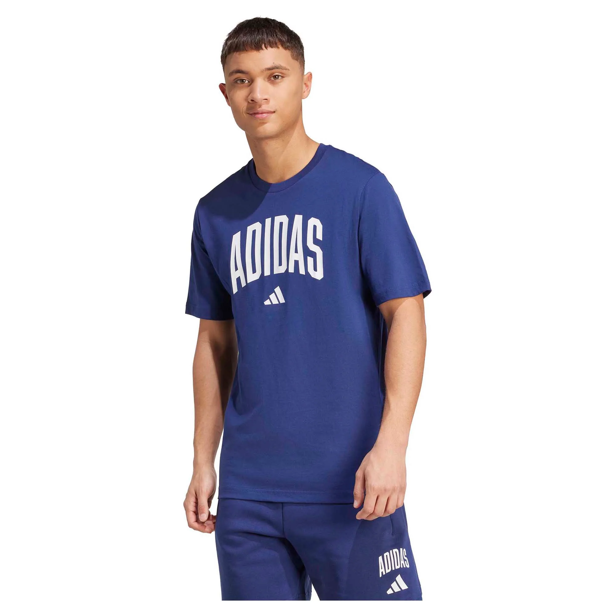 Men's Collegiate Lineage Graphic T-Shirt