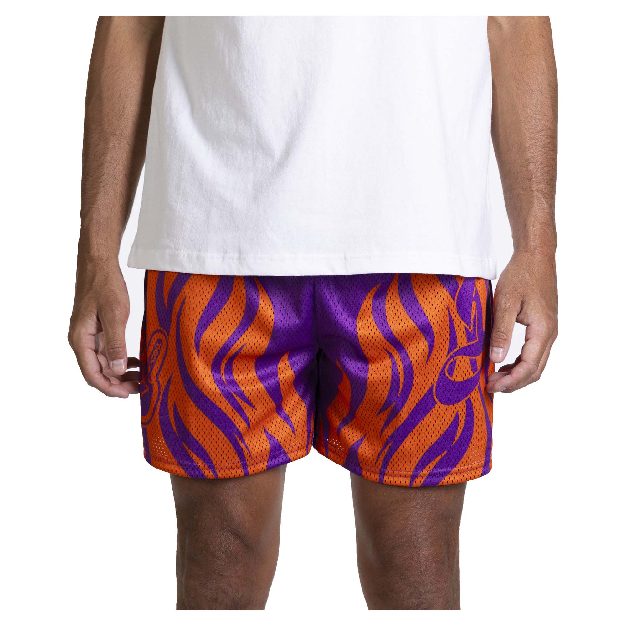 Men's Mesh Shorts