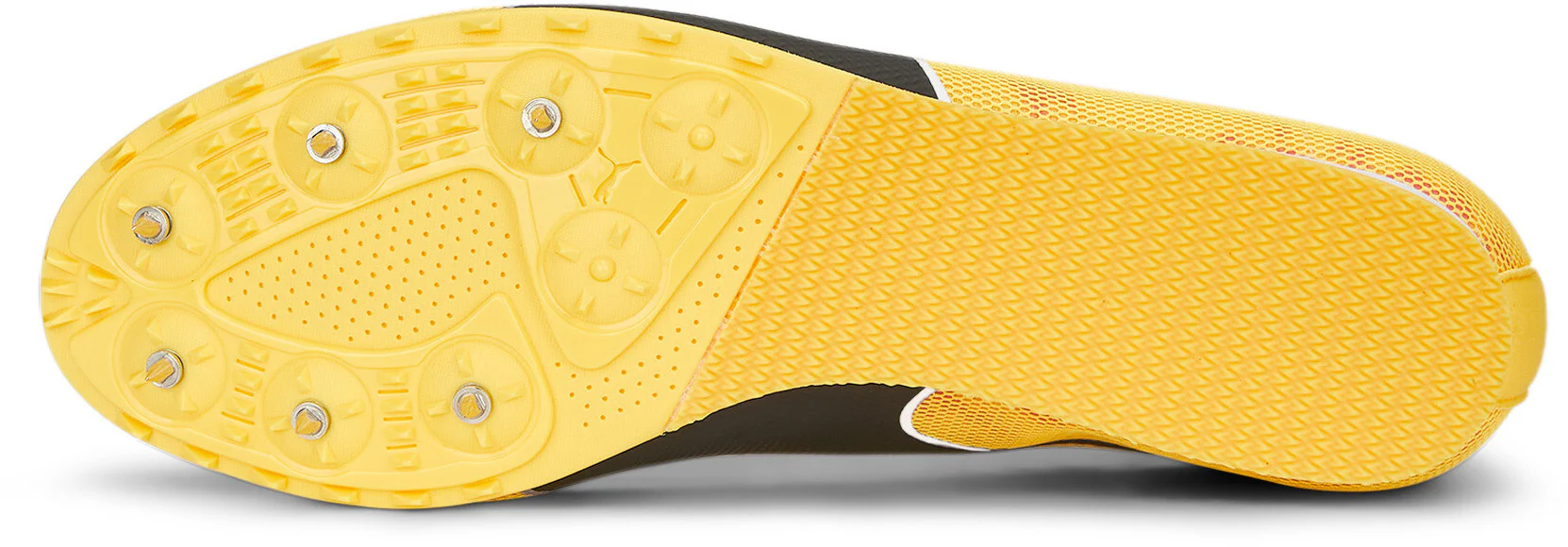 Evospeed Star 8 - Image 4