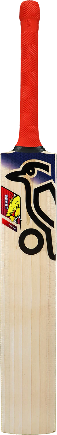 Beast Pro 9.0 Kashmir Junior Cricket Bat