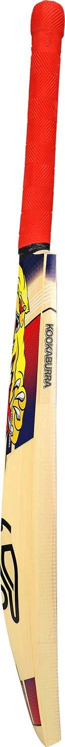Beast Pro 9.0 Kashmir Junior Cricket Bat - Image 2
