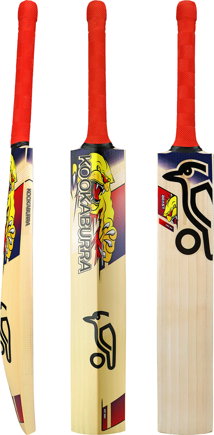 Beast Pro 9.0 Kashmir Junior Cricket Bat - Image 3