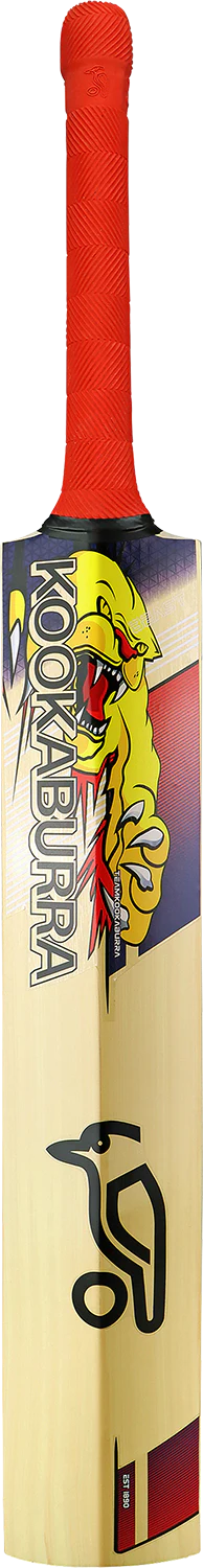 Beast Pro 9.0 Kashmir Junior Cricket Bat - Image 4