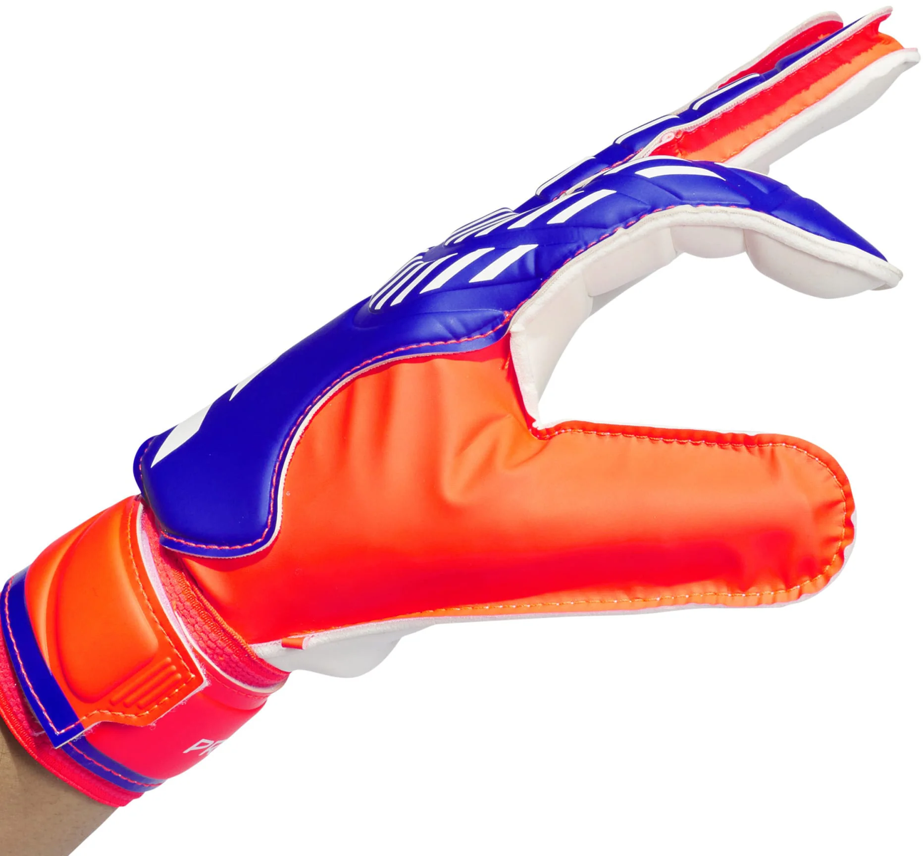 Predator Training Goalkeeper Gloves - Image 4